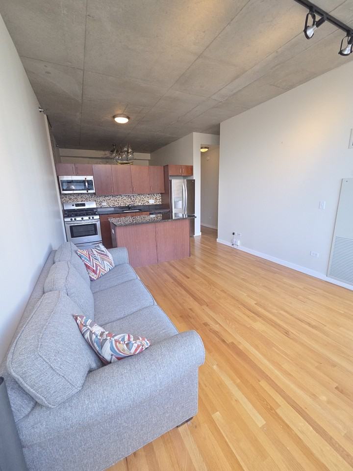 1720 S Michigan Ave #1106 - Photo 3 of 17