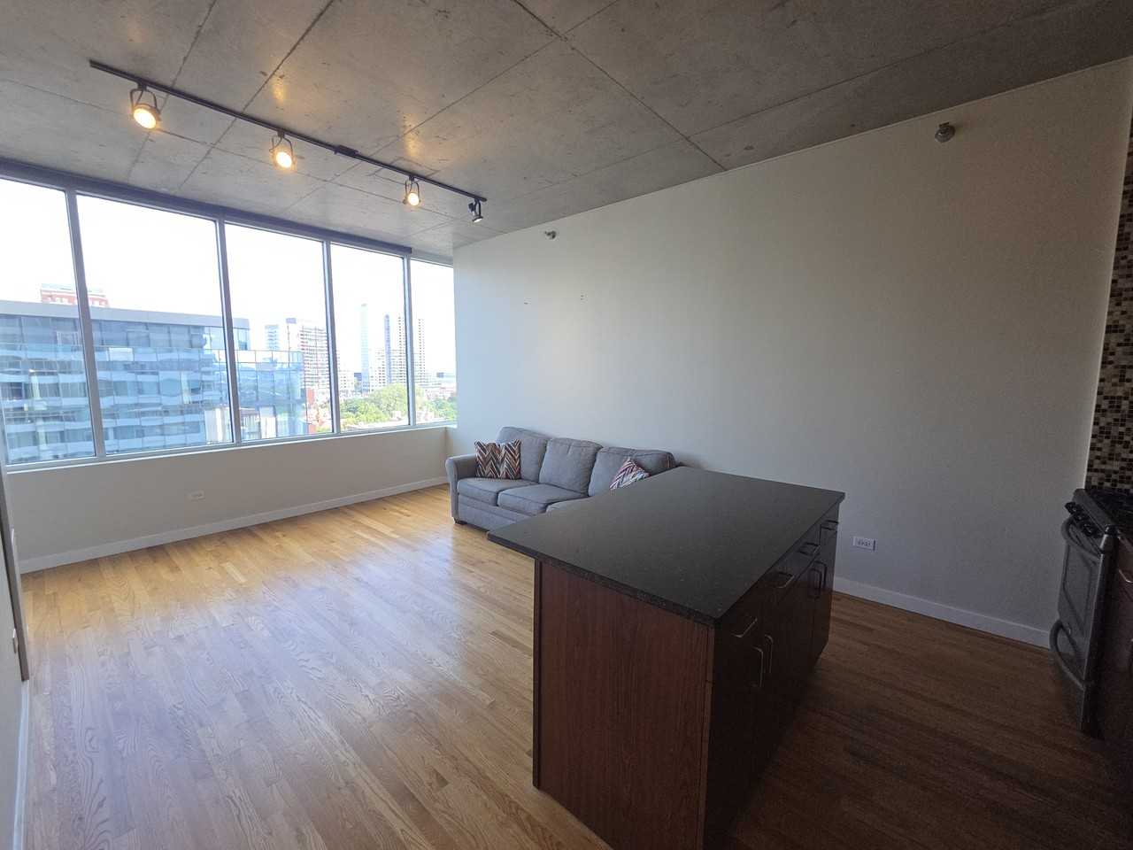 1720 S Michigan Ave #1106 - Photo 4 of 17
