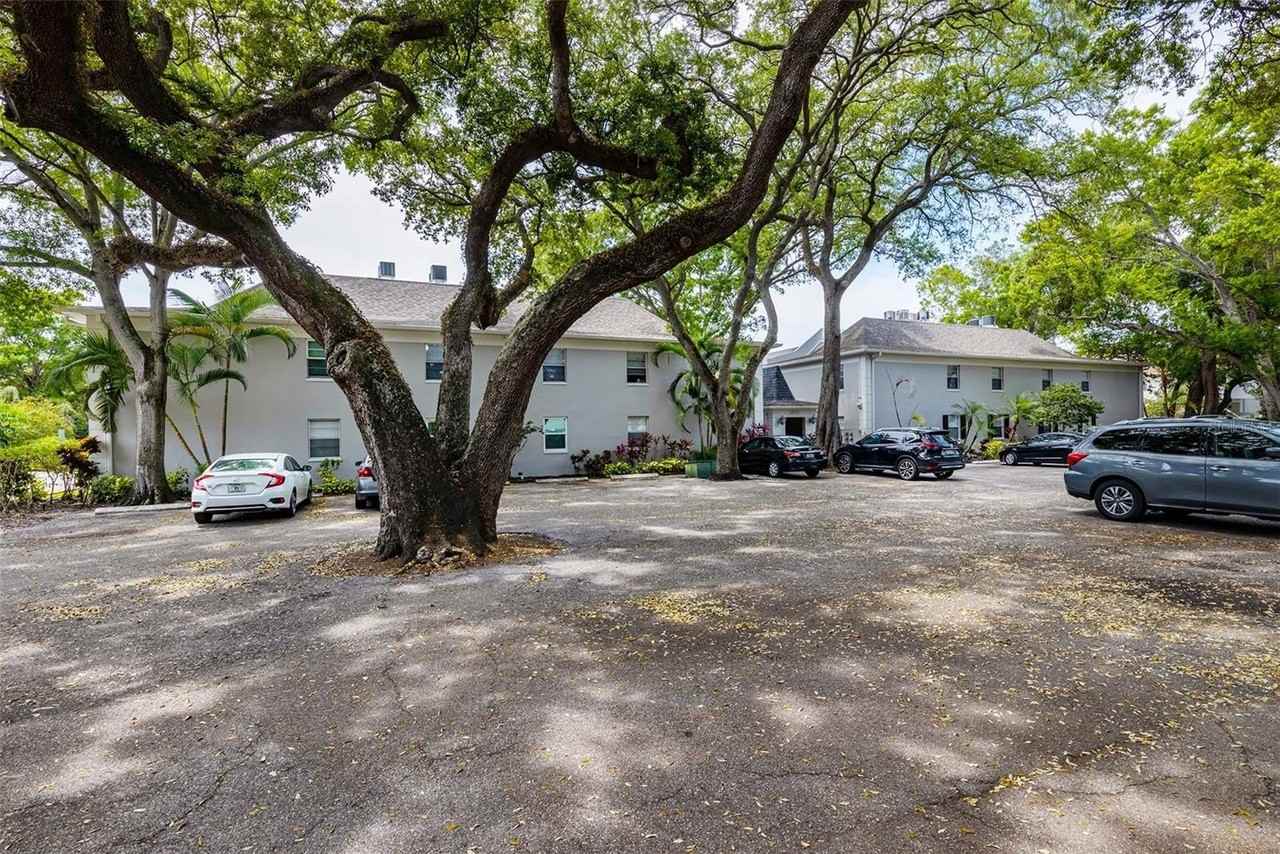 5221 Bayshore Blvd #31 - Photo 4 of 38
