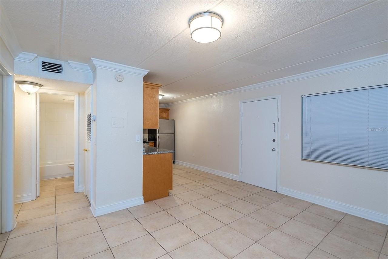 5221 Bayshore Blvd #31 - Photo 7 of 38