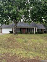 featured image of 161 Raspberry Way