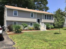 featured image of 43 Wanda St