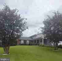 featured image of 5319 Doris Dr