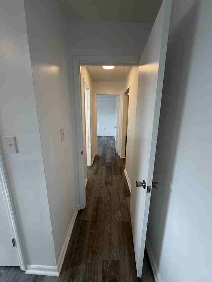 1207 Clement St #L - Photo 6 of 11