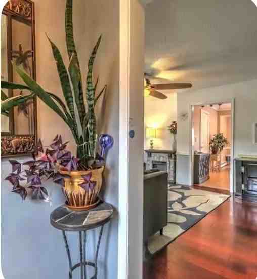 425 Platt Ave - Photo 5 of 7