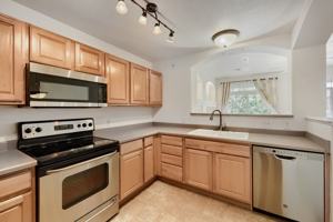 featured image of 474 Black Feather Loop #413