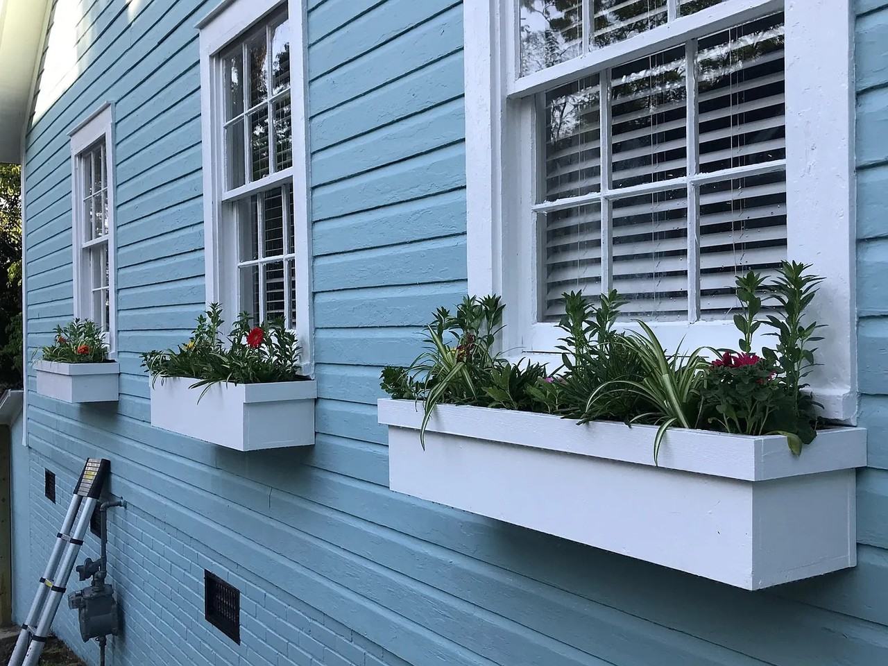 814 Carolina Ave #NA - Photo 5 of 20