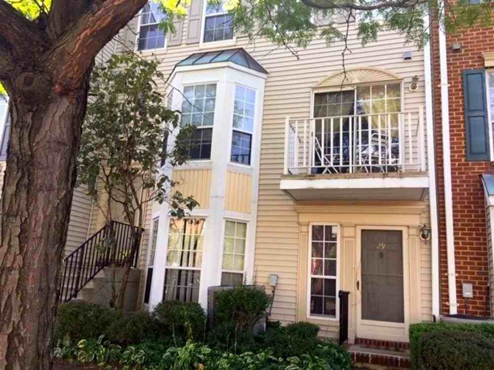 29 Holly St