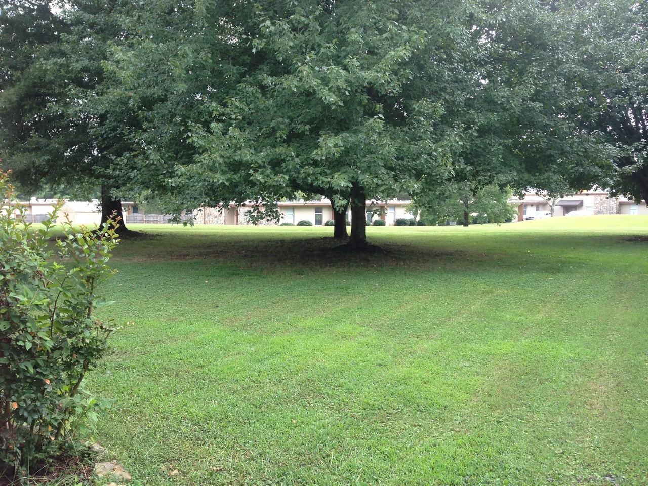 1113 Mountain Breeze Ct - Photo 4 of 5