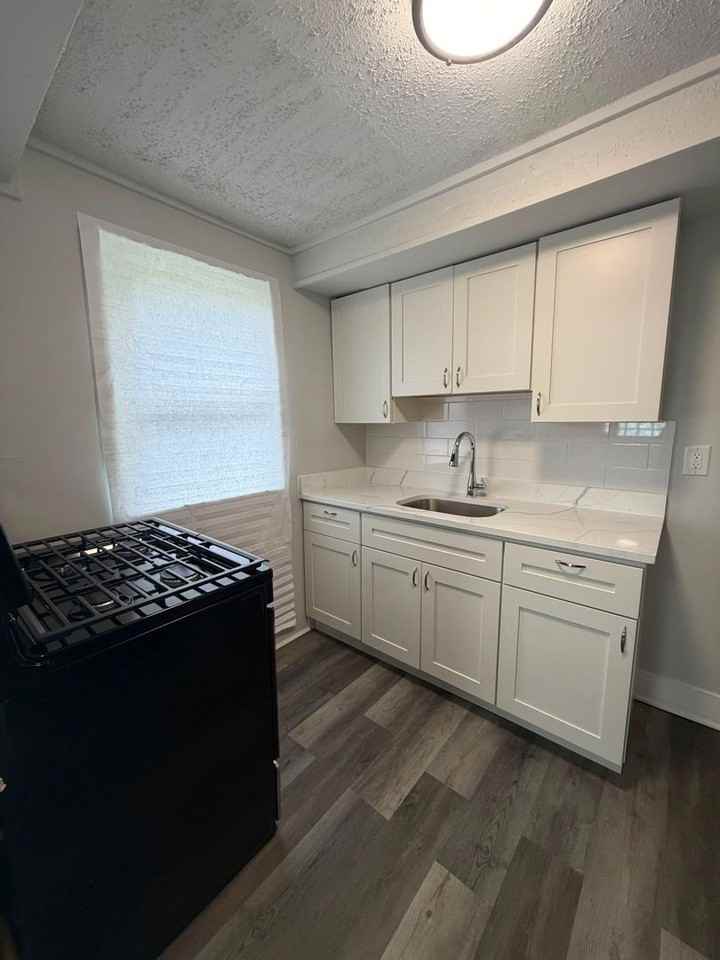 105 Locust St - Photo 2 of 8