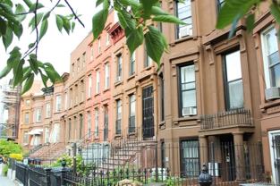 166 Halsey St - Photo 1 of 1