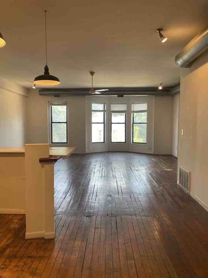 1908 S Halsted St #2F - Photo 4 of 11