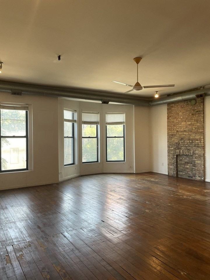 1908 S Halsted St #2F - Photo 5 of 11