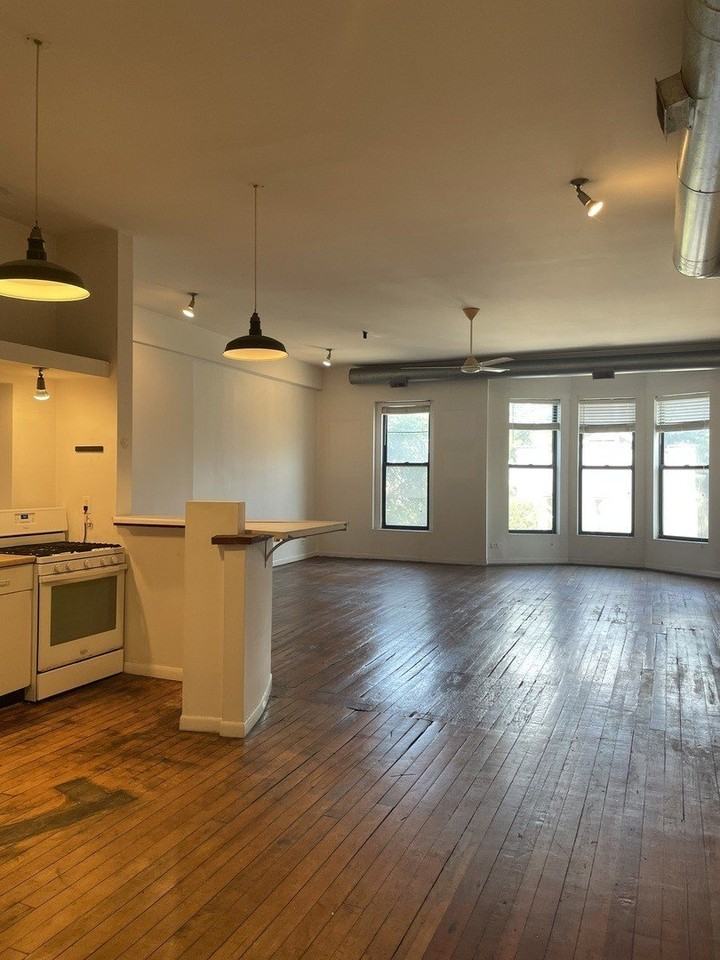 1908 S Halsted St #2F - Photo 6 of 11
