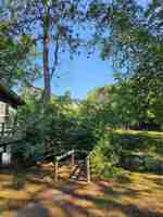 featured image of 326 Miller Ave #81