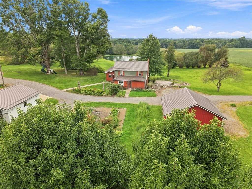 43 Jervis Rd