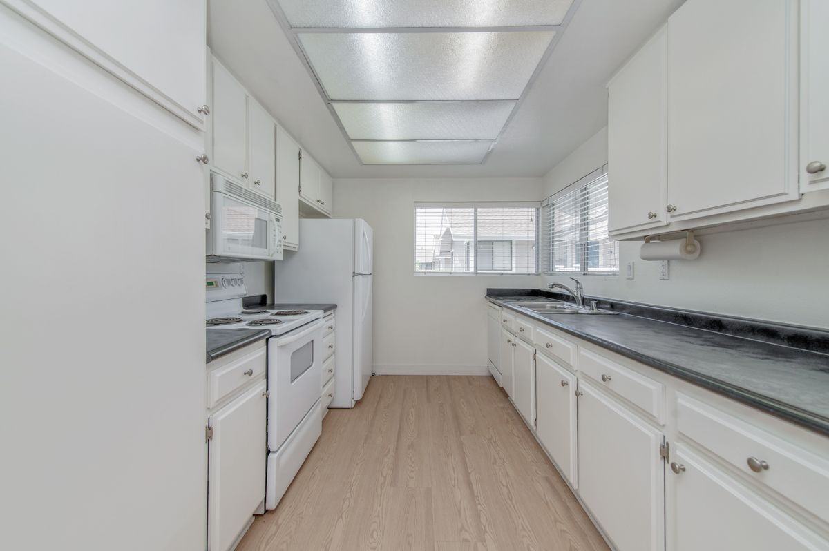 165 Tarocco - Photo 4 of 22