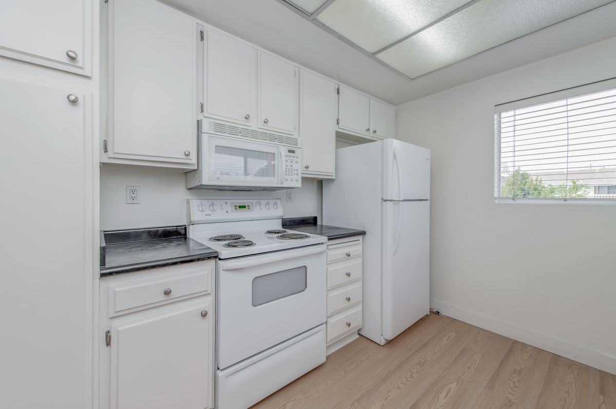 165 Tarocco - Photo 5 of 22