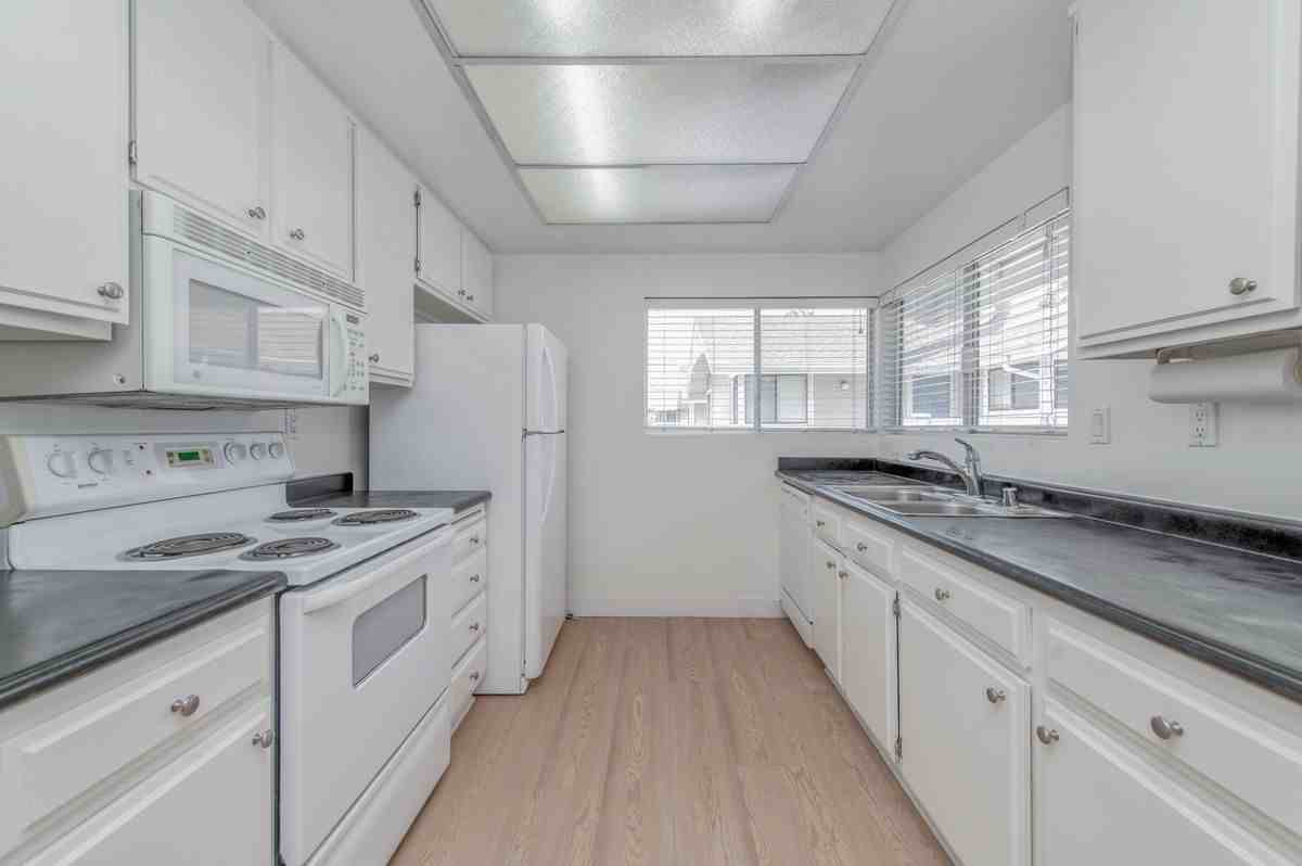 165 Tarocco - Photo 7 of 22