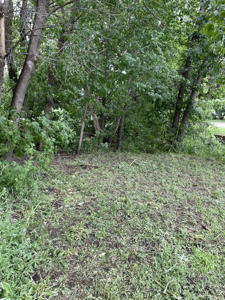 500 13th Ave N #NA - Photo 6 of 43
