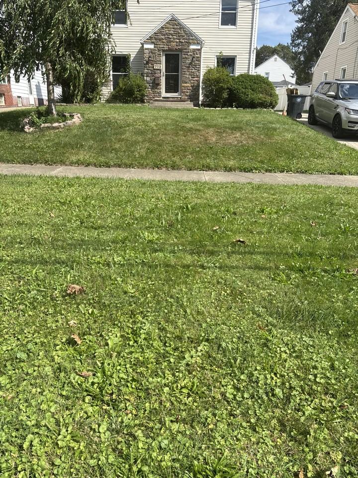 773 Packard Dr #NA - Photo 4 of 19