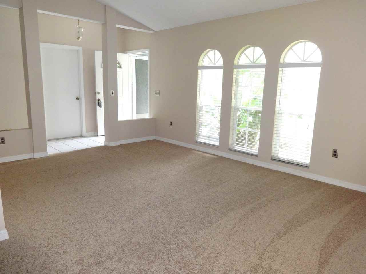 317 Silver Pine Dr - Photo 3 of 21