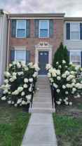 1982 Teasel Ct #1 - Photo 1 of 1