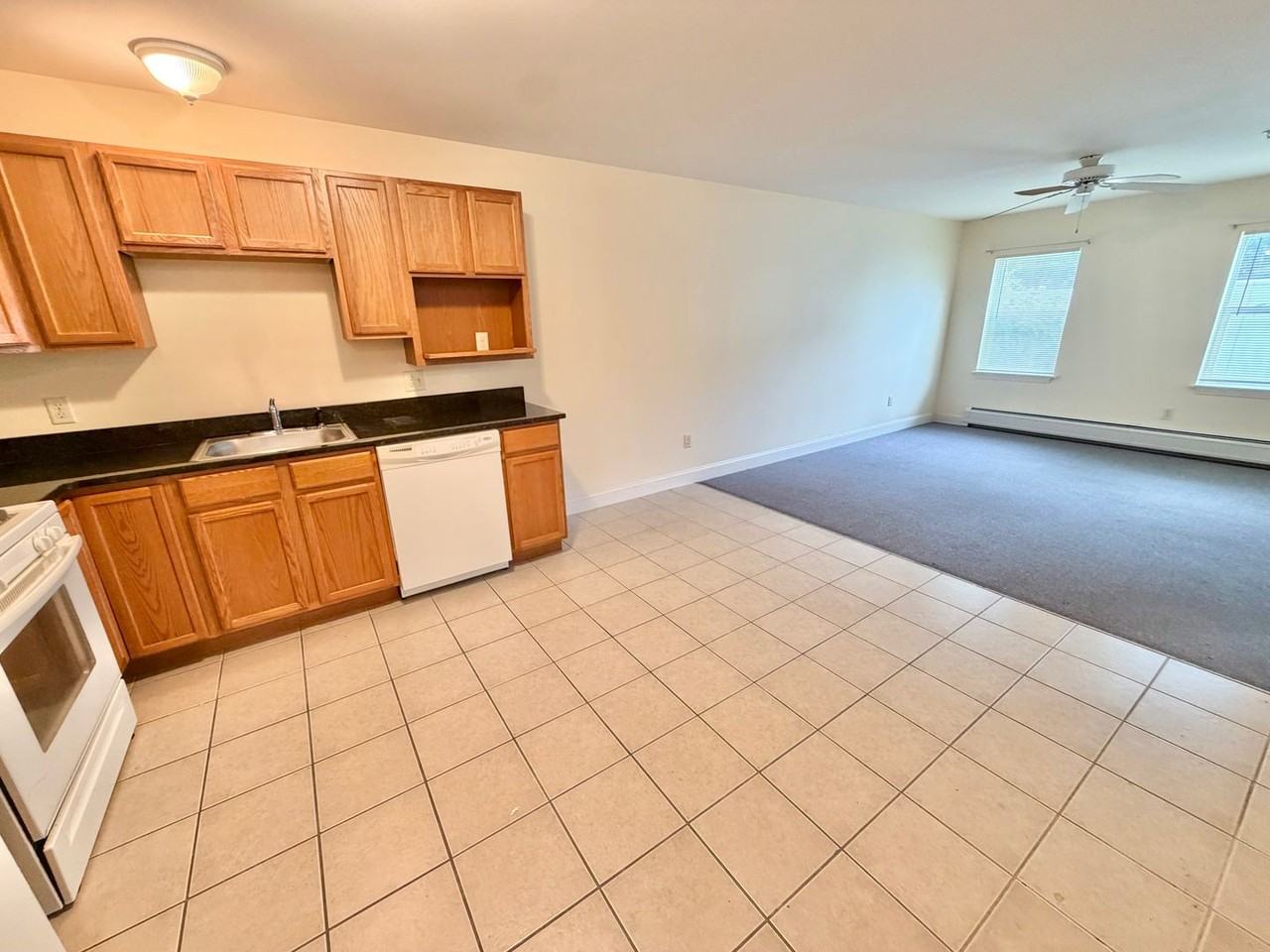 235 Pearl St - Photo 6 of 14