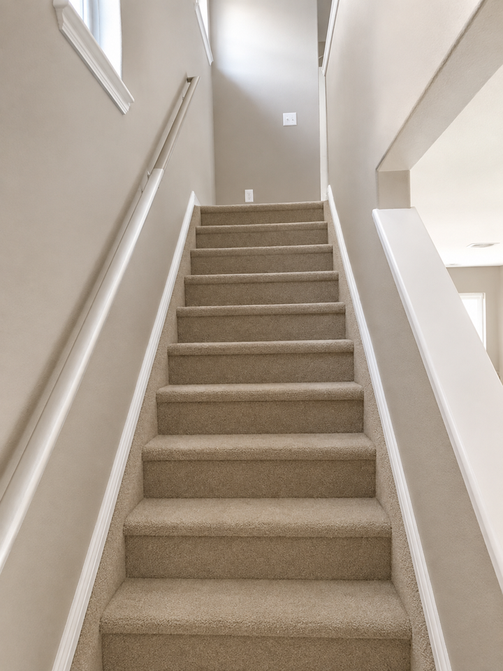3953 Navajo St - Photo 5 of 15