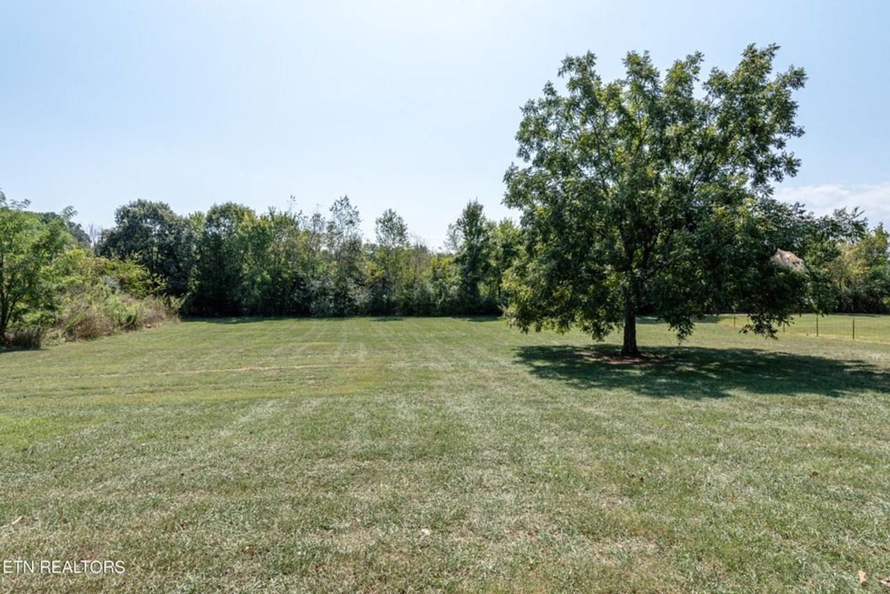 3902 Us Highway 411 S - Photo 4 of 14