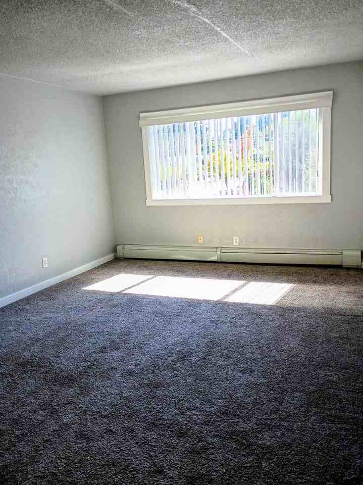 7905 N Fessenden St #5 - Photo 3 of 10