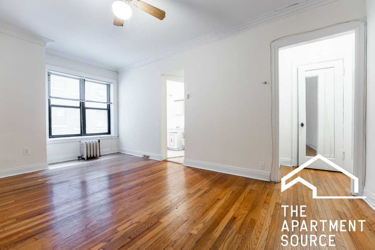 540 W Briar Pl #3D - Photo 3 of 13
