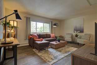 Rockingham Village Apartments - Photo 1 of 1