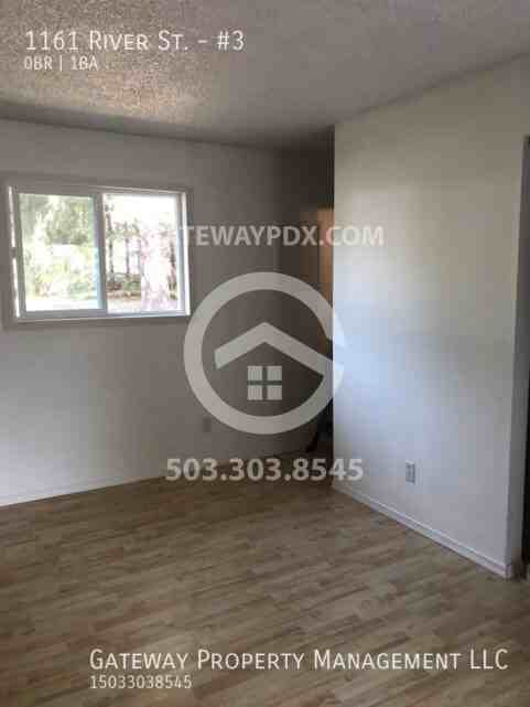 1161 River St #3 - Photo 4 of 15
