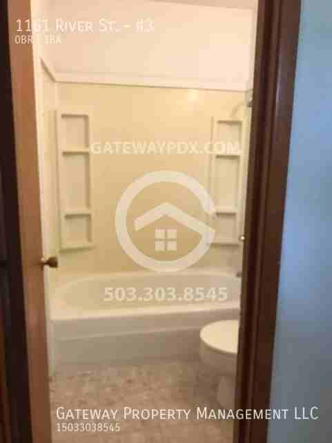 1161 River St #3 - Photo 6 of 15
