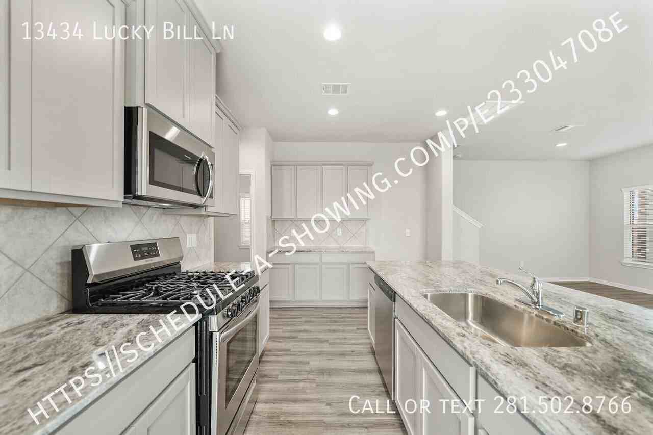 13434 Lucky Bill Ln - Photo 3 of 11