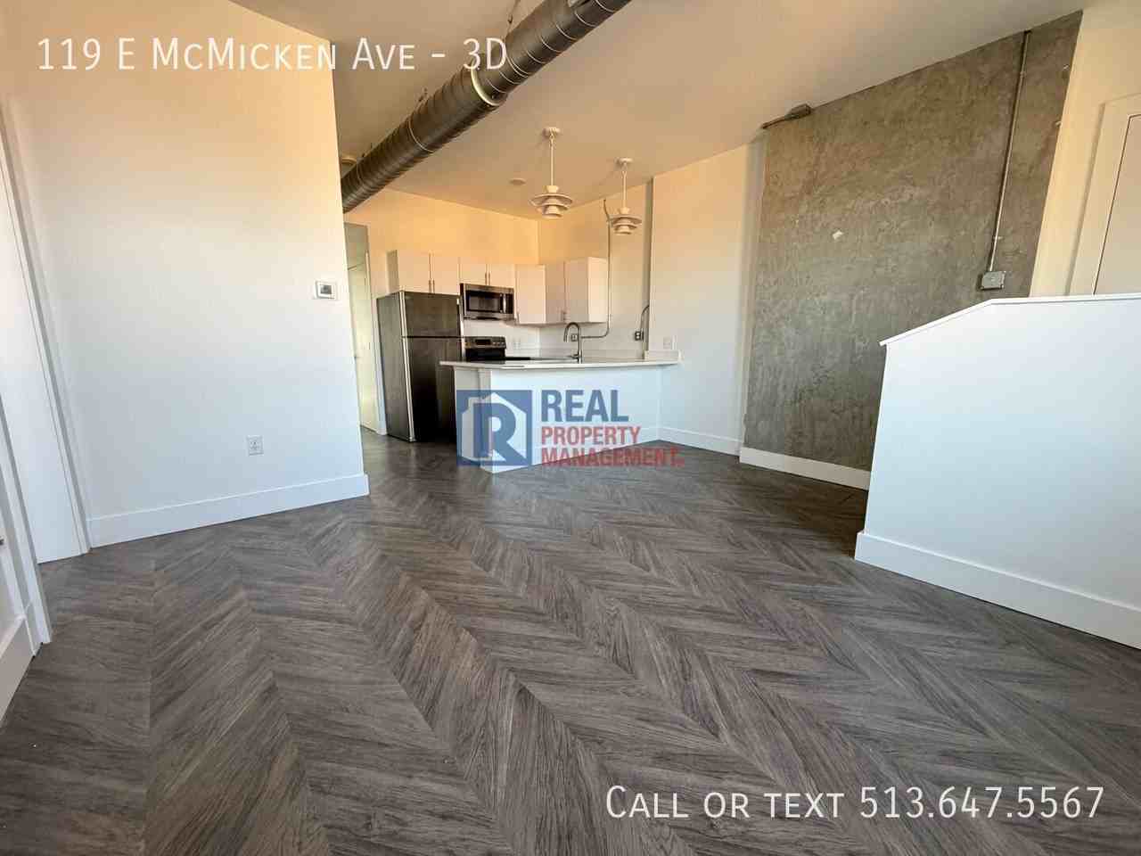 119 E Mcmicken Ave #3D - Photo 2 of 11