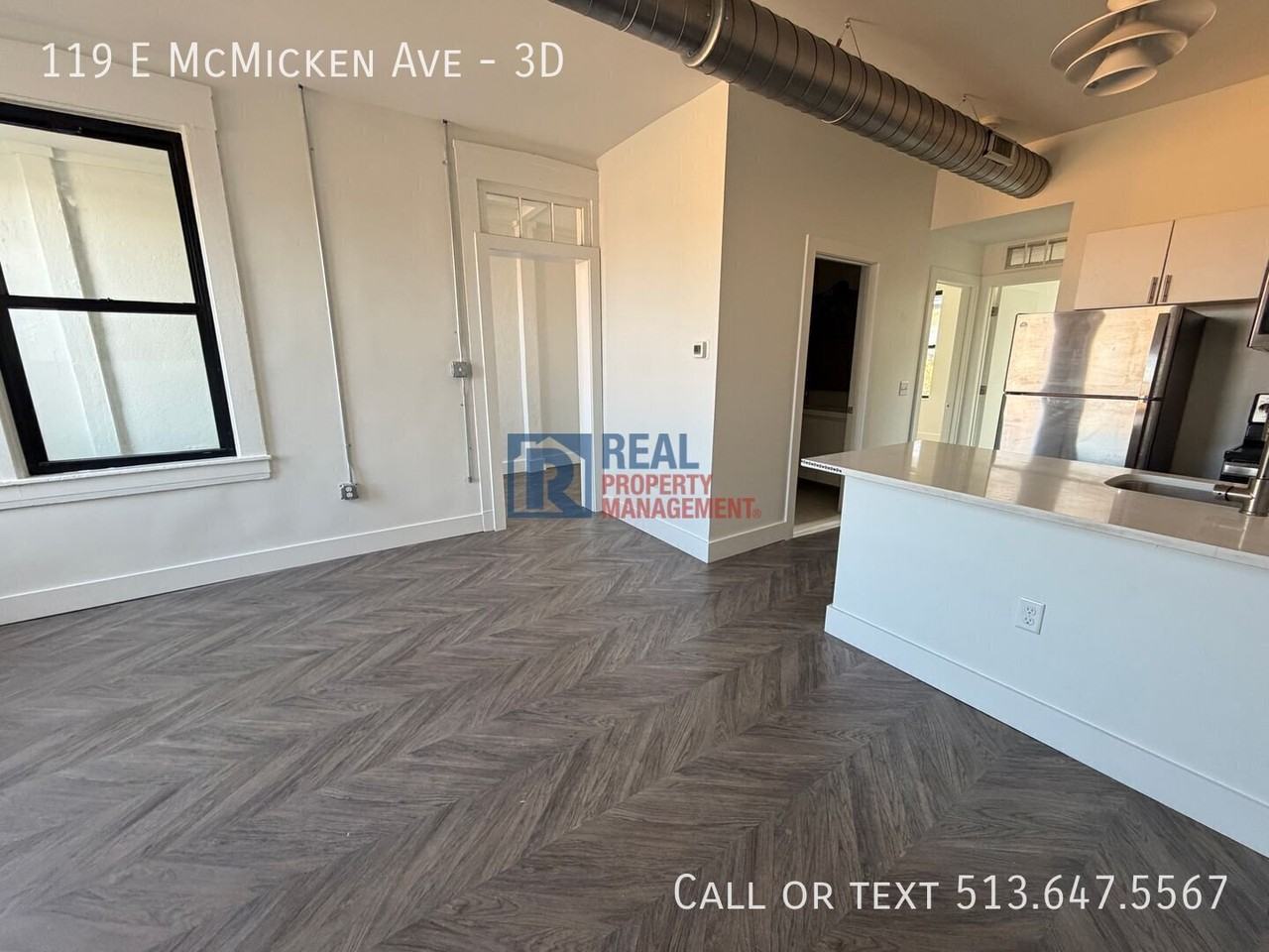 119 E Mcmicken Ave #3D - Photo 3 of 11