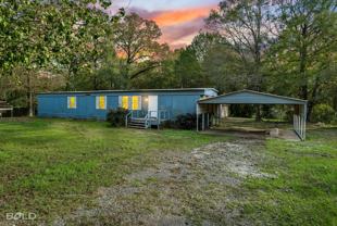 435 Dixie Lake Ln - Photo 1 of 1
