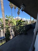 6536LAM - Photo 1 of 1