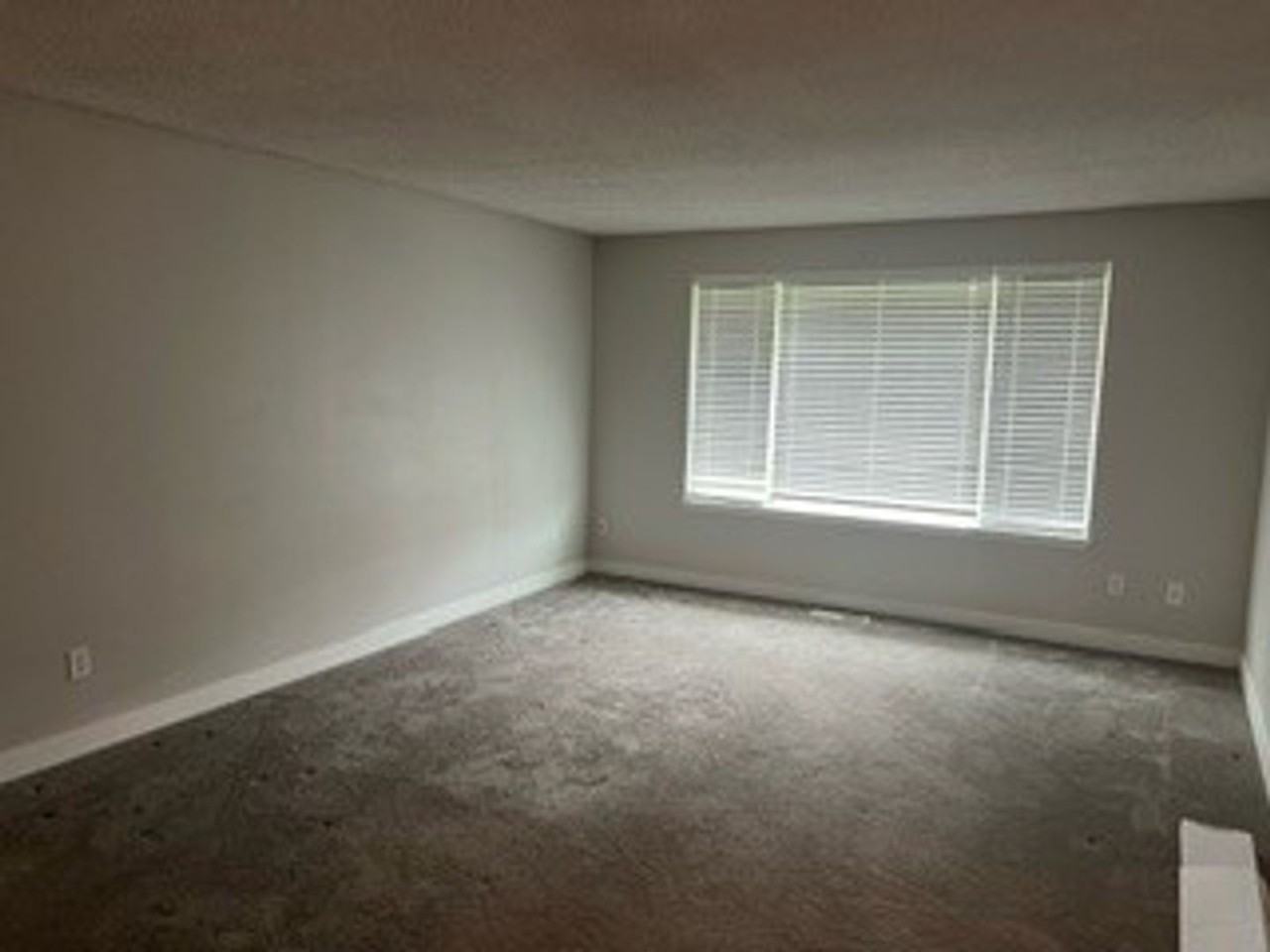 31509 39th Ave Sw - Photo 7 of 8