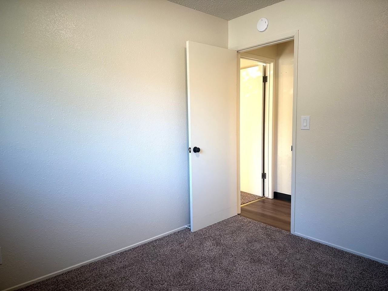 3970 Meteor St - Photo 6 of 19