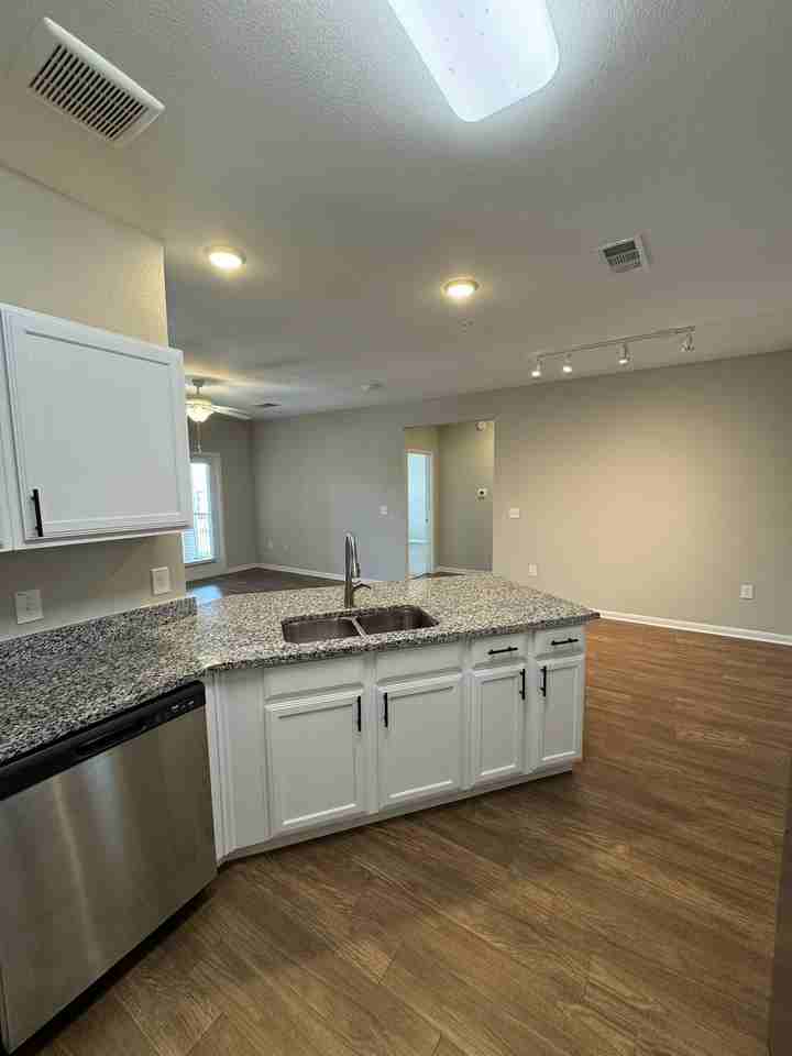351 Landing Ridge Dr #1011