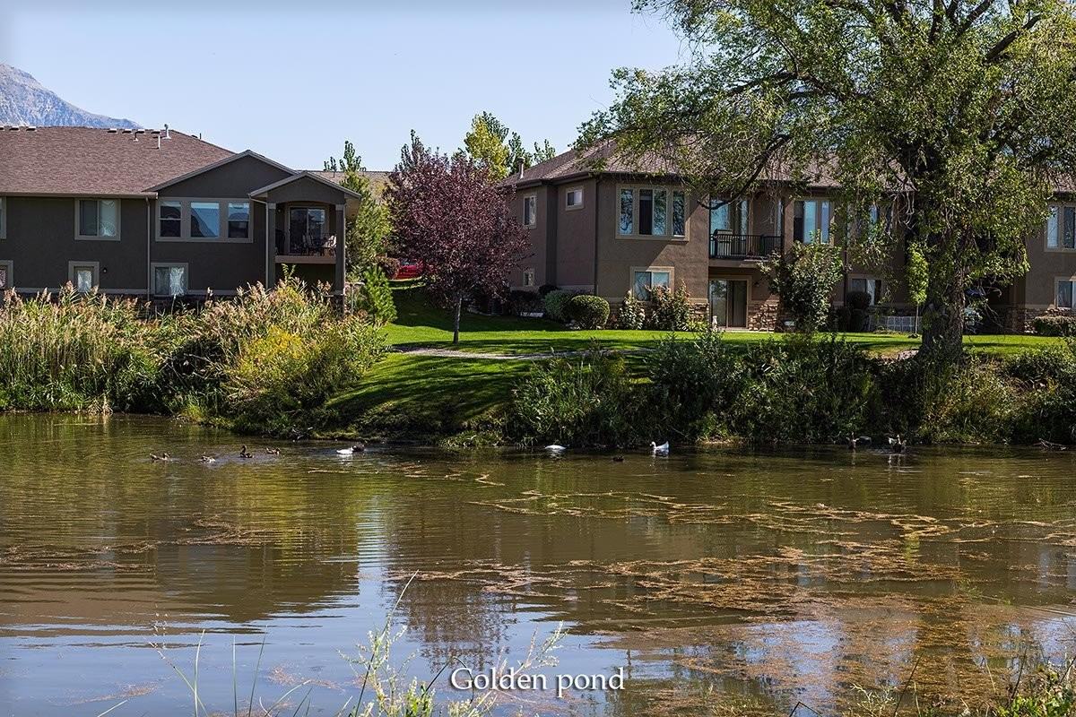 938 Sw - Photo 5 of 17