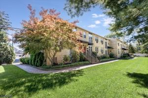 featured image of 7 Van Vleck St