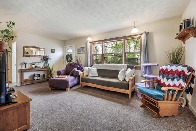 223 Ellen St - Photo 2 of 18