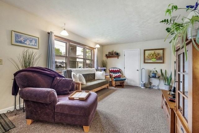 223 Ellen St - Photo 3 of 18