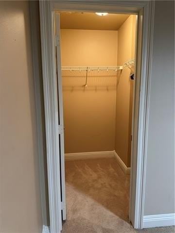 3456 Cleary Ave #502 - Photo 6 of 19