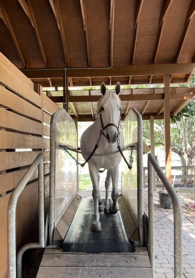 1711 Stallion Dr - Photo 6 of 21