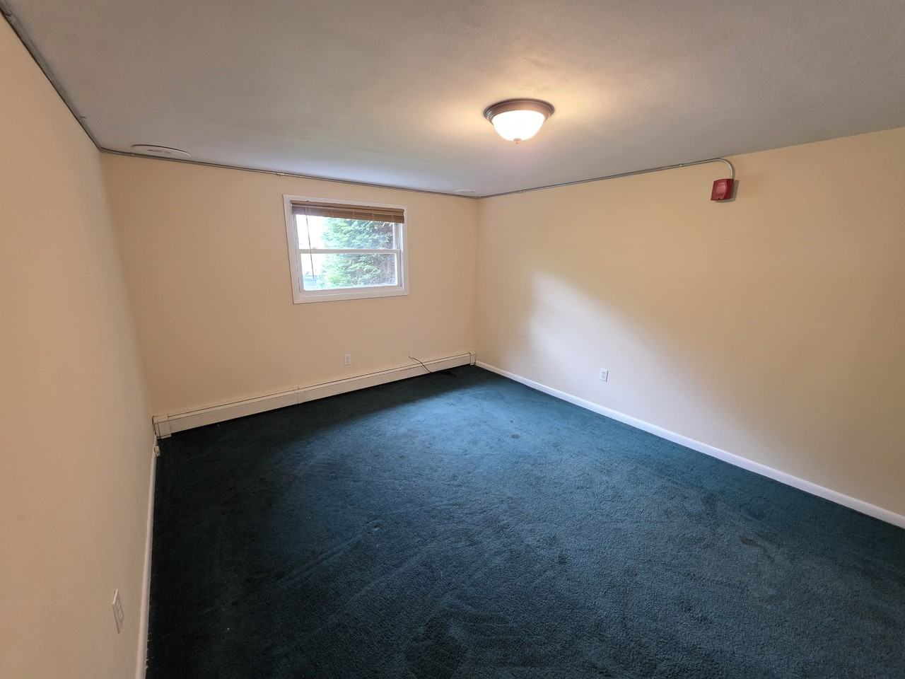 356 Rhode Island Ave - Photo 7 of 12